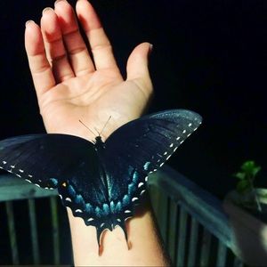 Meet your Posher, Stacy